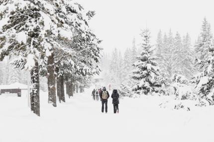 Winterprogramma volwassenen & senioren