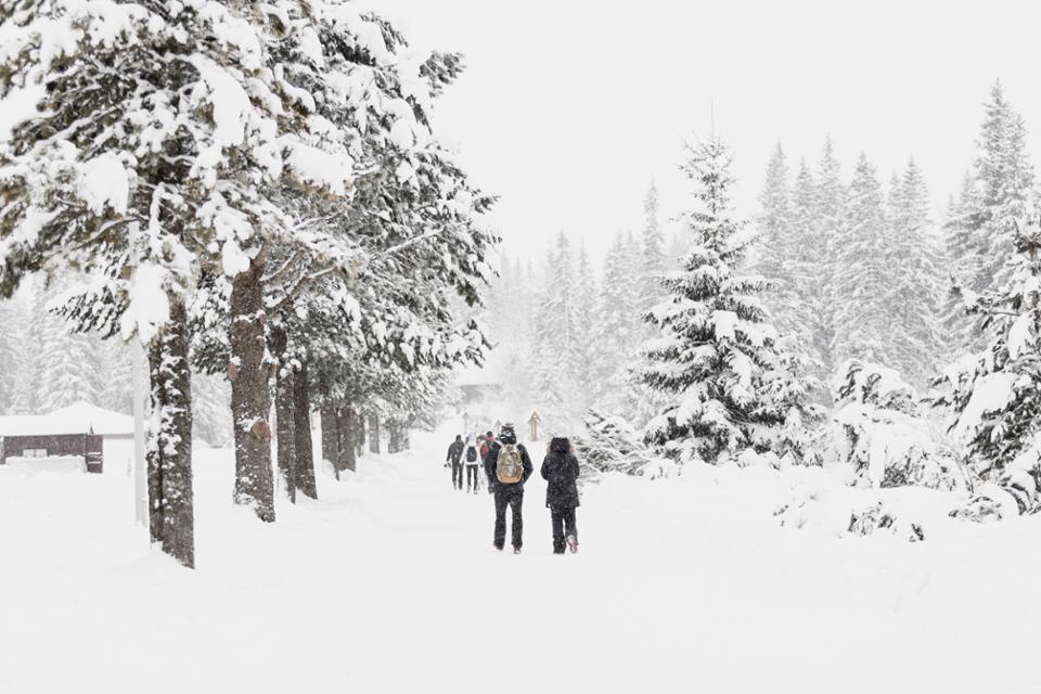 Winterprogramma volwassenen en senioren