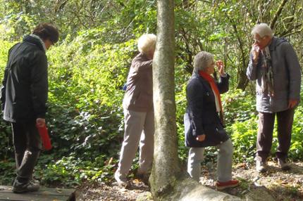 Tijdens de zomervakantie organiseert Ecsplore elke maandag en woensdag actieve, informatieve en gezellige activiteiten. Voor iedereen van 55 jaar en ouder.