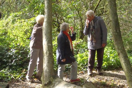 Zomerprogramma 55+ en Senioren