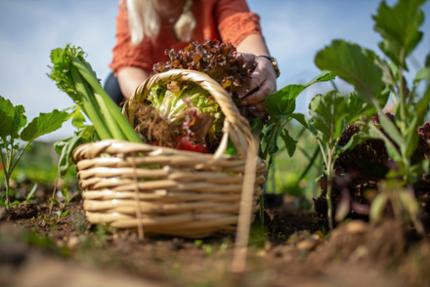 Na het succes van vorig jaar doet Provincie Limburg ook dit jaar weer mee aan De Week van Ons Eten